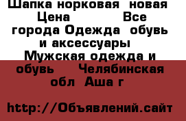 Шапка норковая, новая › Цена ­ 5 000 - Все города Одежда, обувь и аксессуары » Мужская одежда и обувь   . Челябинская обл.,Аша г.